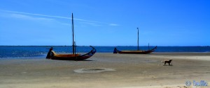 Gestern noch im Wasser, heute auf dem Trockenen – die beiden Boote