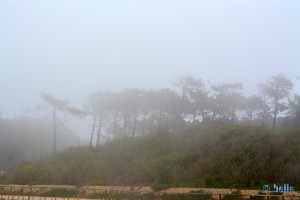 Fog at Praia de São Pedro de Maceda – Portugal