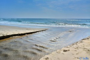 Rio Cabanes - Praia de Afife – Portugal