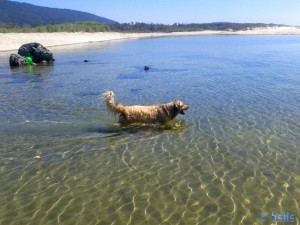 Nicol überwindet ihren inneren Schweinehund....