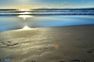 Praia de Carnota - Maceiras - Mar de Lira - Lugar Teixoeira, 12, 15292 Carnota, A Coruña, Spanien