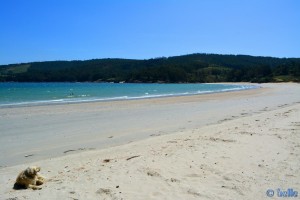 Nicol at Playa-de-Os-Muiños