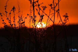 Sunset at Praia Naval – 22:01:31 – 300mm