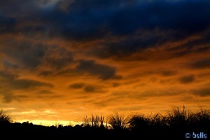 Sky in Porto de Cuchía