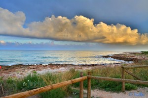 Parc Natural de la Serra d'Irta (Duna del Pebret)