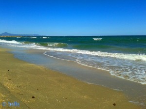 Wellen am Platja L'Almadrava – Spanien – für Nicol sicher zu kräftig.