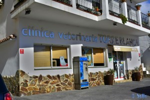 clínica veterinaria TORREBLANCA - Avda. Carvajal No5 - 29640 Fuengirola