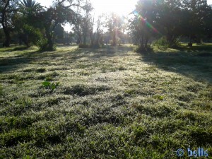 Camping "Atlantis gate" - Moulay-Bousselham - Merja Zerga - Marocco