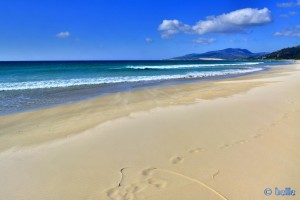 Flugsand am Playa de los Lances Norte – Tarifa