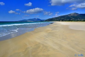 Flugsand am Playa de los Lances Norte – Tarifa