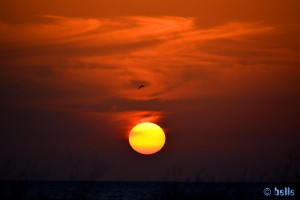 Der Himmel brennt! Sunset at Playa de los Lances Norte - N-340, 11380 Tarifa, Cádiz, Spanien – 15.11.2015 – 18:09:01 Uhr