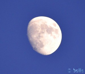 Moon at Playa de los Lances Norte - Tarifa – Spain