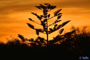 Sunset in Oualidia, Marokko (Nikon D5200)