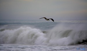 Strong Waves at the Coast near Sidi Boulfdail - Marokko