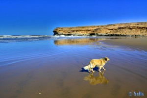 Nicol at Plage de Oued Ma Fatma – Marokko