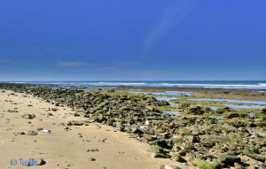 Beach of Boujdour – Marokko