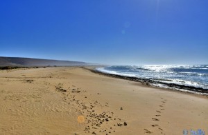 Unterwegs zur Düne (Blick zurück) – Plage A. Marokko