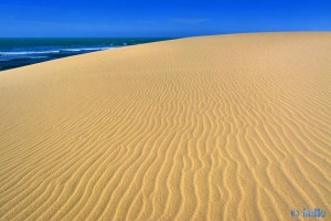 Wir erklimmen die Düne – Plage A. - Marokko