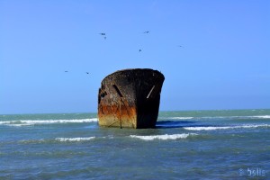 Schiffswrack kurz nach Boujdour – Marokko