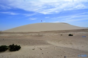 Sehr grosse Sanddüne in Labouirda – Marokko