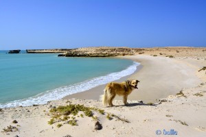 Nicol at Cap Barbas – Marokko