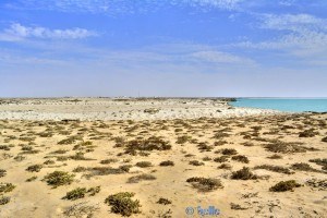Cap Barbas – Marokko – interessant hier die verschiedenen Farben im Sand!