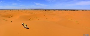 Nicol und Baffo in Merzouga - Erg Chebbi – Marokko