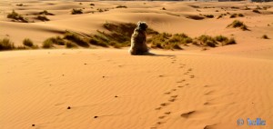 Nicol betrachtet das fabelhafte Panorama in Merzouga - Erg Chebbi – Marokko