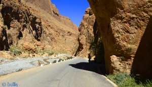 Gorges du Todra - R703, Marokko