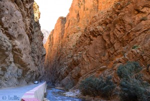 Rückfahrt - Gorges du Dadès, Marokko