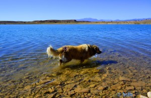 Nicol nimmt nochmal ein Fussbad - Barrage Al Mansour Ad Dahbi – Marokko