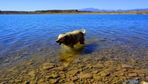 Nicol nimmt nochmal ein Fussbad - Barrage Al Mansour Ad Dahbi – Marokko