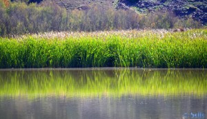 Lac Des Aït-Aadel – Marokko – 300mm