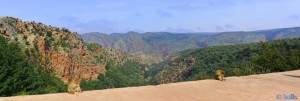 Zwei Berberaffen vor einem fabelhaften Panorama - Ouzoud - Marokko