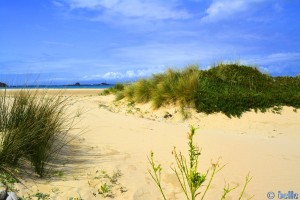 Plage Dalia – Marokko