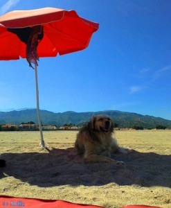 Hauptsache die Prinzessin hat Schatten - Nicol in L'Hospitalet de l'Infant – Spain