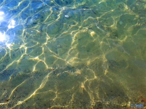 Clear Water in L'Hospitalet de l'Infant - Spain