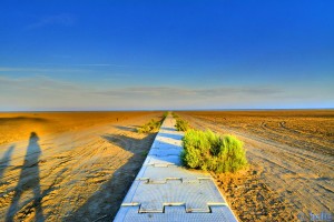 The long Way to the Platja dels Eucaliptus – Spain - HDR [High Dynamic Range]