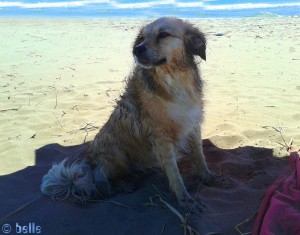 Nicol nach der Schwimmstunde - Platja dels Eucaliptus – Spain