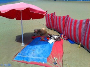 Kein Flugsand mit dem Wind-Schutz? Platja dels Eucaliptus – Spain