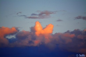 Ein Herz am Himmel - Platja dels Eucaliptus - Spain