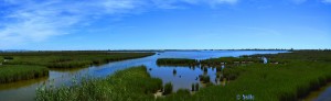 Delta del Ebre - Spain