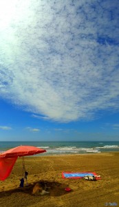 Nicol at Platja dels Eucaliptus – Spain