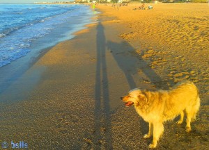 Lange Schatten am Playa Almadrava - Spain