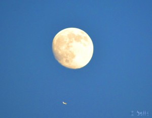 ...bald ist Vollmond!