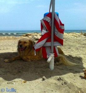 Nicol at Caleta dels Gossets – Spain