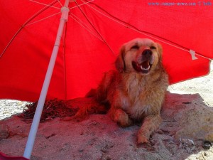 Nicol hat Schatten - Platja del Carabassí – Spain