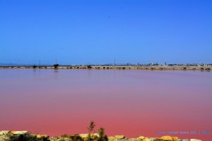 Rotes Wasser at Diseminado Salinas, 5, 30740 San Pedro del Pinatar, Murcia, Spanien