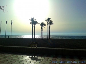 Shadow of Nicol at Playa de las Salinas - Spain