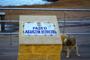 Wir sind hier! - Paseo Augstin Herrerin - Puerto de Mazarrón – Spain